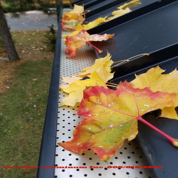 Leaf Guard Mississauga